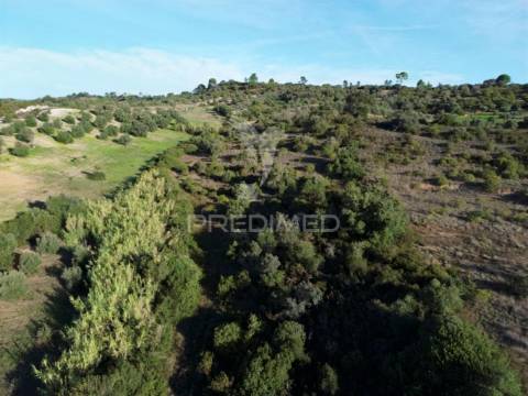 Terreno rústico com 15.530 m² em arneiro das milhariças