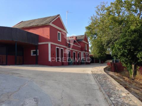 Infraestrutura equestre de excelência com potencial habitacional