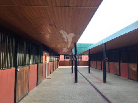 Infraestrutura equestre de excelência com potencial habitacional