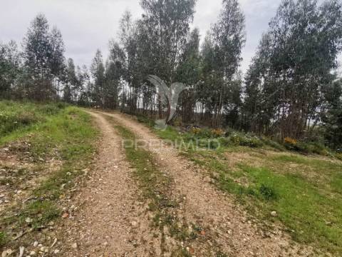 Terreno misto