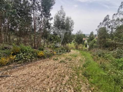 Terreno misto