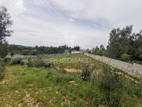 Terreno misto