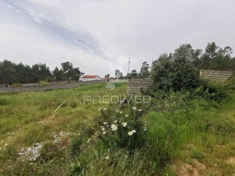 Terreno misto