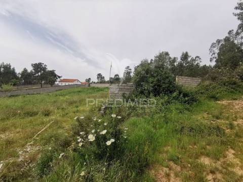 Terreno misto