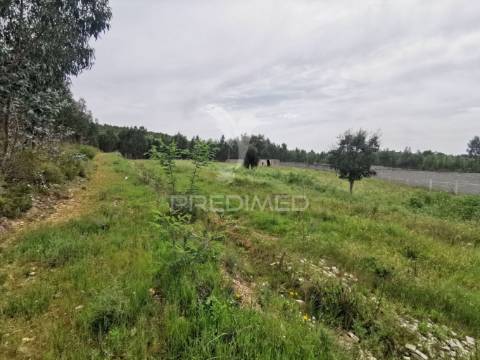 Terreno misto