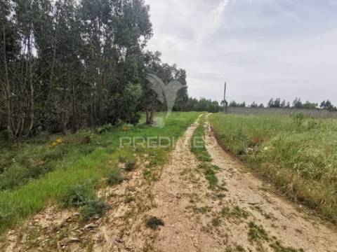 Terreno misto