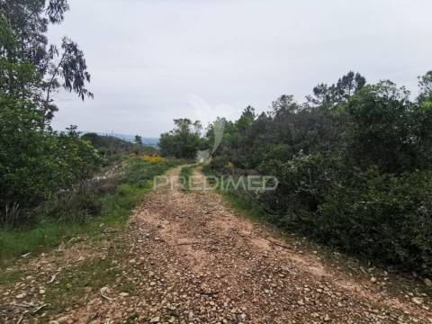 Terreno rustico