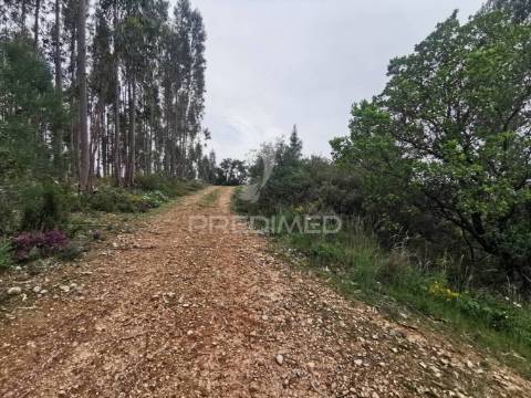 Terreno rustico