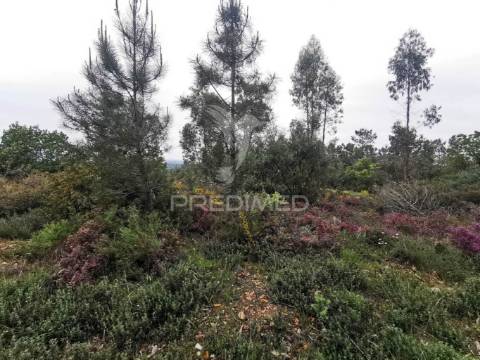 Terreno rustico