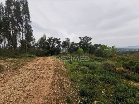Terreno rustico
