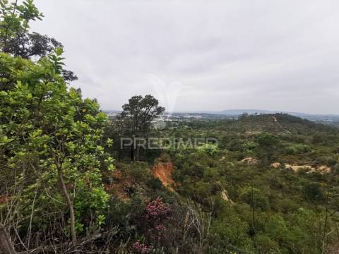 Terreno rustico