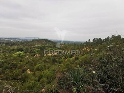 Terreno rustico