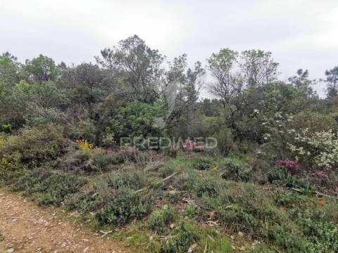 Terreno rustico