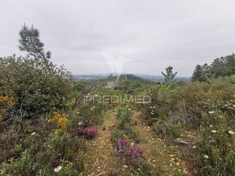 Terreno rustico