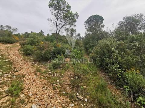 Terreno rustico