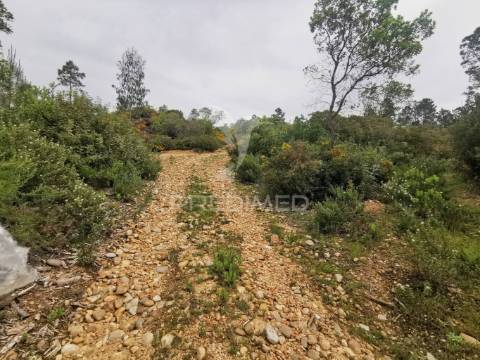 Terreno rustico