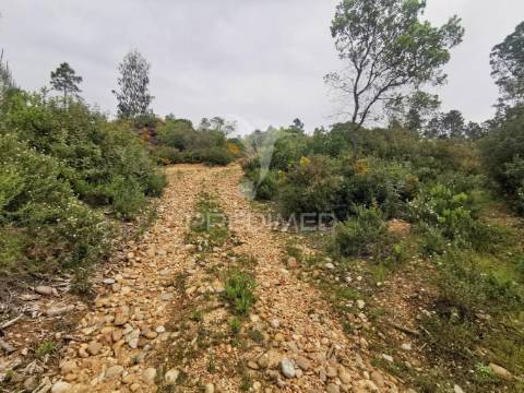 Terreno rustico