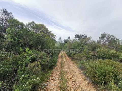 Terreno rustico