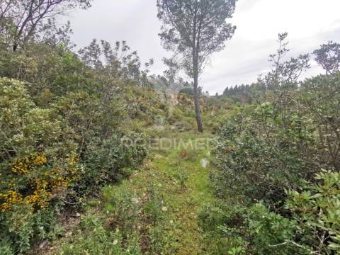 Terreno rustico