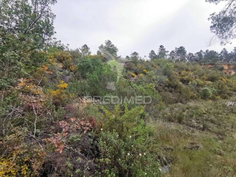 Terreno rustico