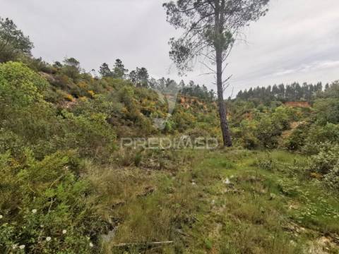 Terreno rustico