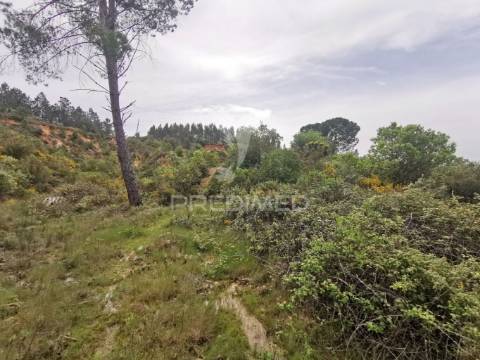 Terreno rustico