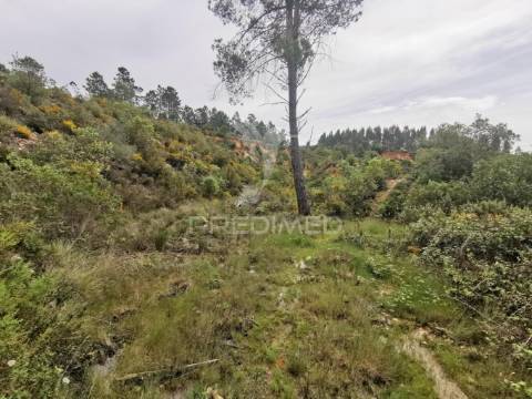 Terreno rustico