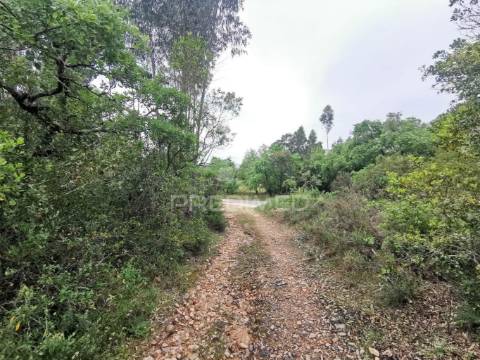 Terreno rustico