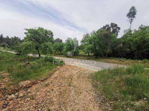 Terreno rustico