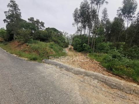 Terreno rustico