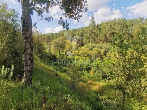 Terreno rustico