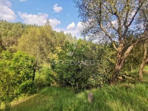 Terreno rustico
