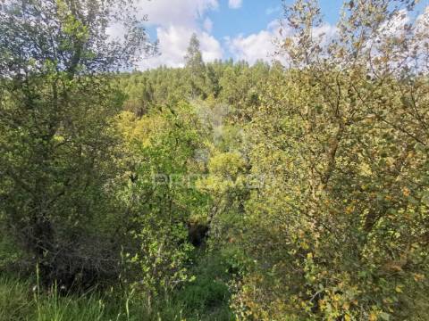 Terreno rustico