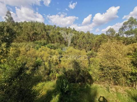 Terreno rustico