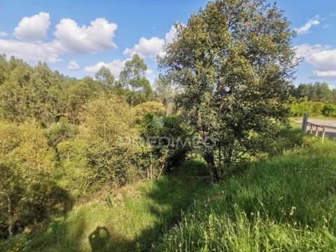 Terreno rustico