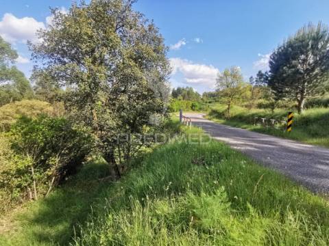 Terreno rustico