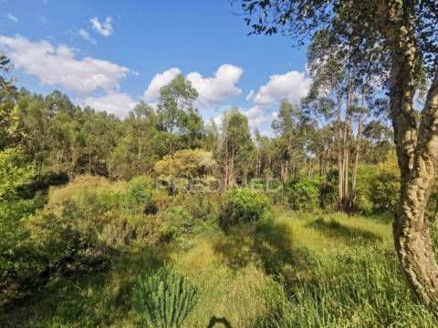 Terreno rustico
