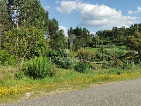 Terreno rustico