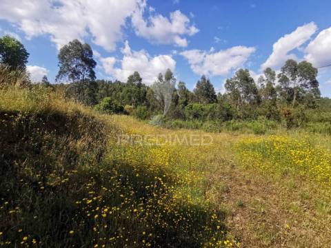 Terreno rustico