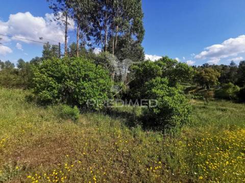Terreno rustico