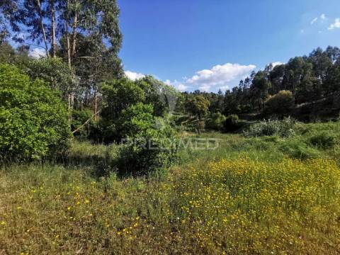 Terreno rustico