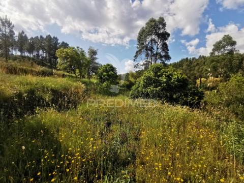 Terreno rustico