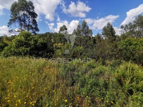 Terreno rustico