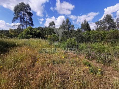 Terreno rustico