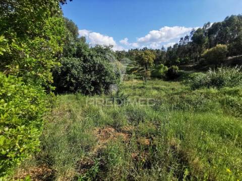 Terreno rustico