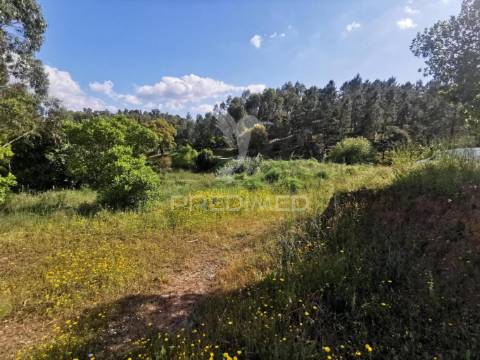 Terreno rustico
