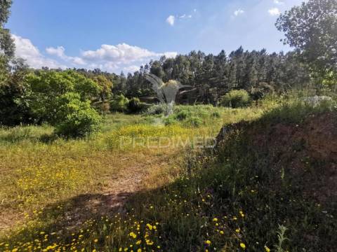Terreno rustico
