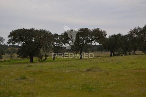 Herdade da capela