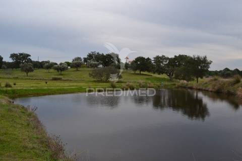 Herdade da capela