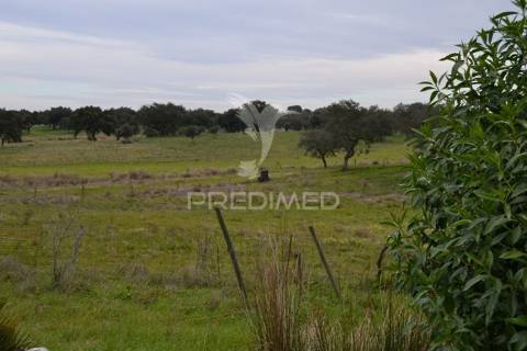 Herdade da capela